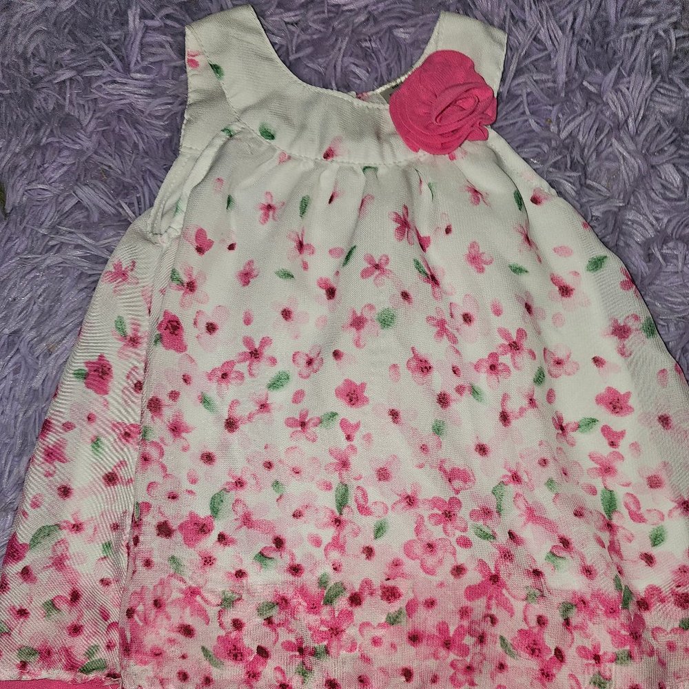 Blueberi Boulevard pink Floral chiffon dress 12 months